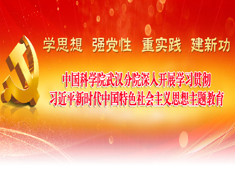 武漢分院深入開展學習貫徹習近平新時代中國特色社會主義思想主題教育